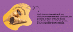 Q d'Cônes - Chocolat noir – Image 2