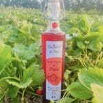 Sirop artisanal naturel de fraise