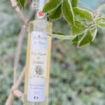 Sirop artisanal naturel de sureau
