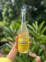 Yoleau - Spritz Fleur de Sureau – Image 2