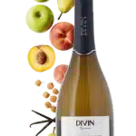 DIVIN Blanc de blancs Chenin Vigneron