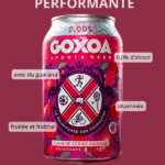 Goxoa - Sports Beer Blanche Cerise Sauvage 0.0%