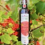 Sirop artisanal naturel de grenadine