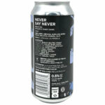 Wylam X Mash Gang Never Say Never
