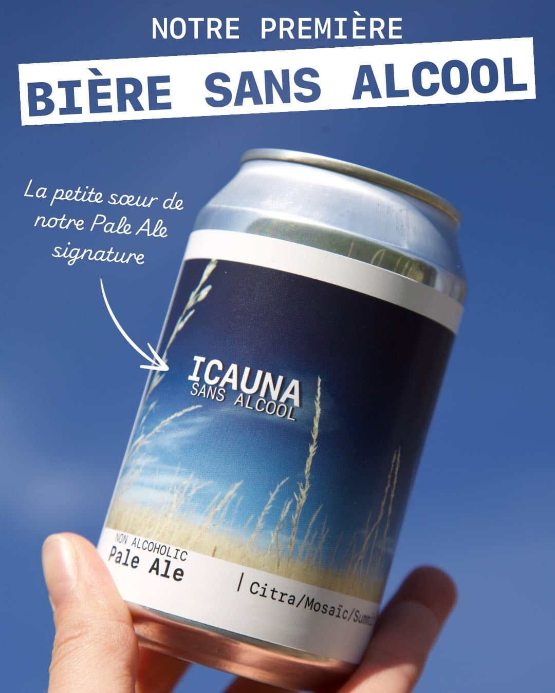 Popihn - Icauna – Pale Ale – Image 1