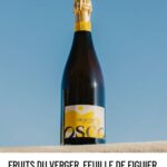 Osco – L’Éclat Brut BIO – Fruits du verger, feuille de figuier et sureau