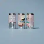 Below Brew - Wild Juice Chase DDH PALE ALE sans alcool 0.5%